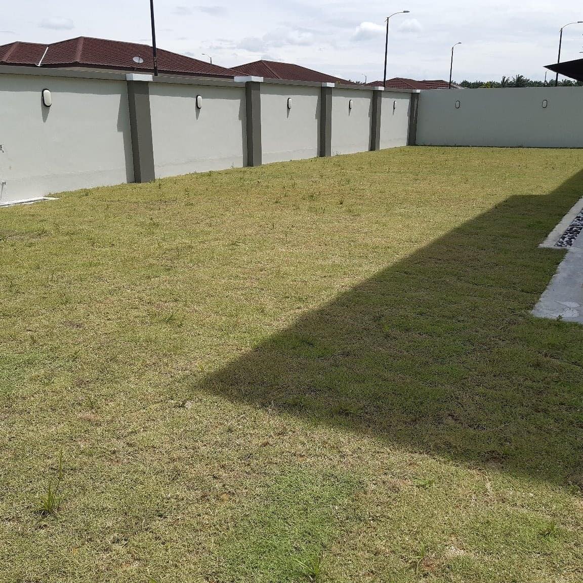 Before lawn care